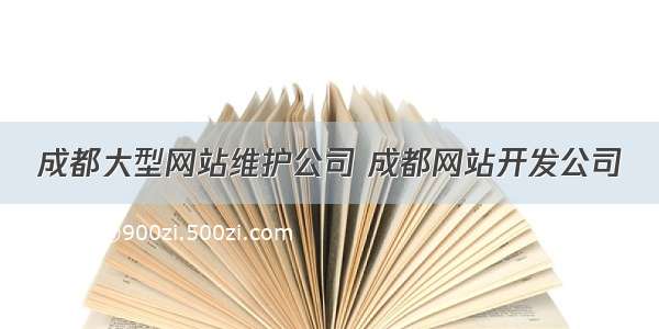 成都大型网站维护公司 成都网站开发公司