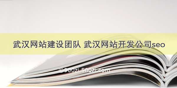 武汉网站建设团队 武汉网站开发公司seo