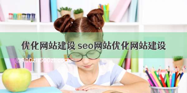 优化网站建设 seo网站优化网站建设