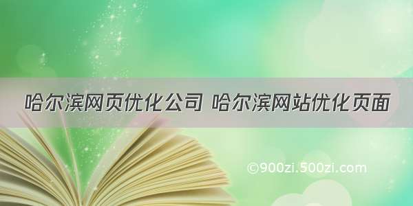 哈尔滨网页优化公司 哈尔滨网站优化页面