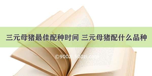 三元母猪最佳配种时间 三元母猪配什么品种