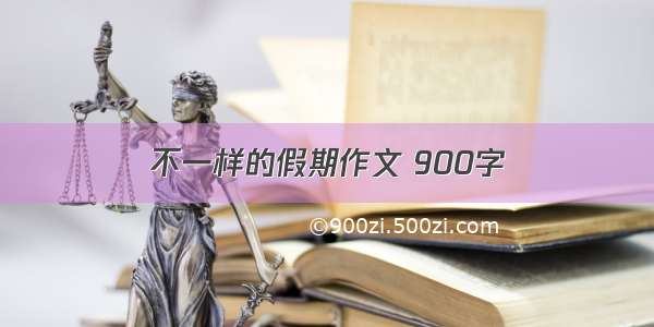 不一样的假期作文 900字