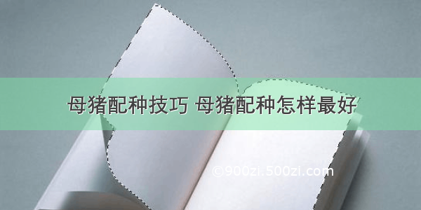 母猪配种技巧 母猪配种怎样最好