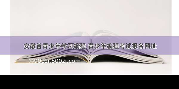 安徽省青少年学习编程 青少年编程考试报名网址