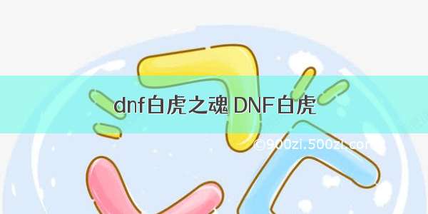 dnf白虎之魂 DNF白虎