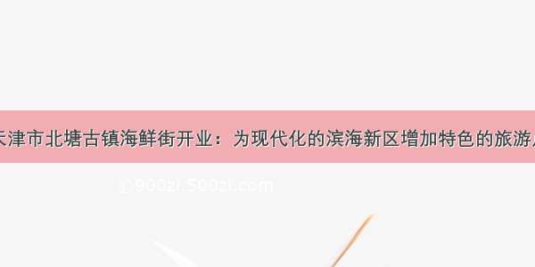 天津市北塘古镇海鲜街开业：为现代化的滨海新区增加特色的旅游点