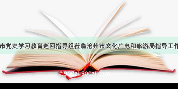 市党史学习教育巡回指导组莅临沧州市文化广电和旅游局指导工作