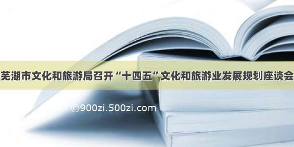 芜湖市文化和旅游局召开“十四五”文化和旅游业发展规划座谈会