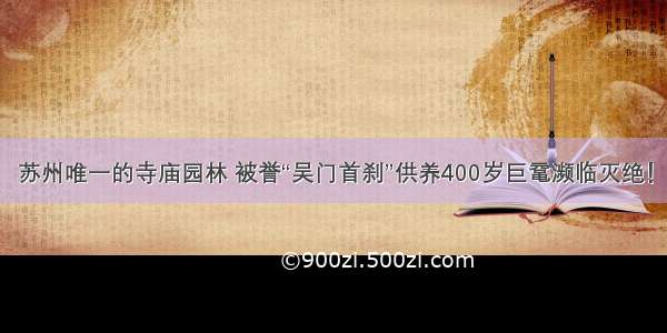 苏州唯一的寺庙园林 被誉“吴门首刹”供养400岁巨鼋濒临灭绝！