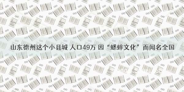 山东德州这个小县城 人口49万 因“蟋蟀文化”而闻名全国