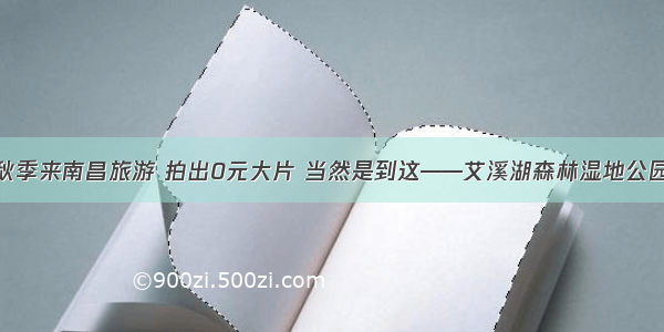 秋季来南昌旅游 拍出0元大片 当然是到这——艾溪湖森林湿地公园