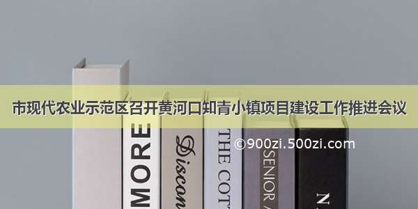 市现代农业示范区召开黄河口知青小镇项目建设工作推进会议