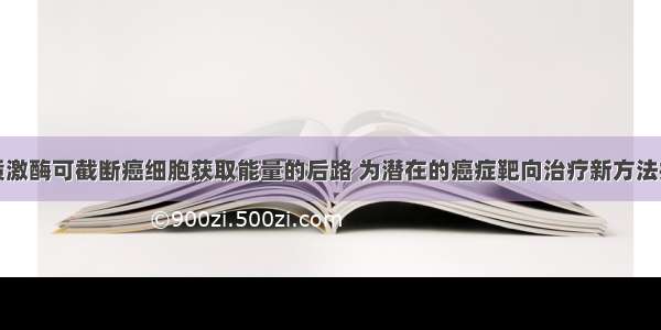 抑制脂质激酶可截断癌细胞获取能量的后路 为潜在的癌症靶向治疗新方法提供支持