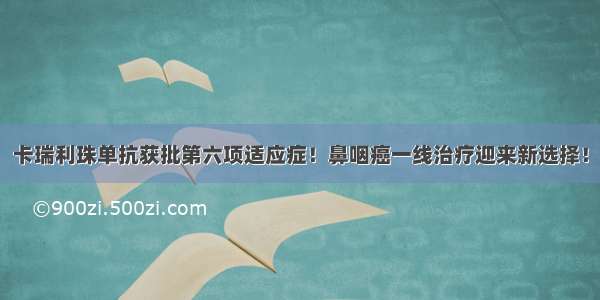 卡瑞利珠单抗获批第六项适应症！鼻咽癌一线治疗迎来新选择！