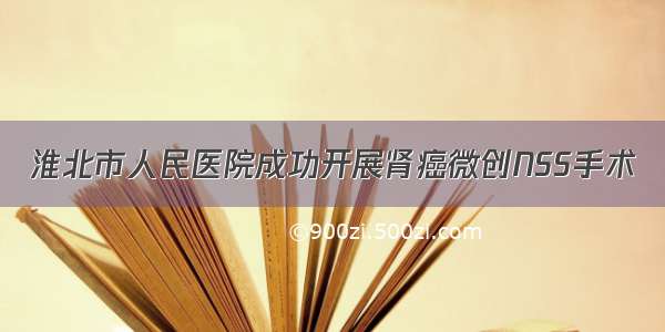 淮北市人民医院成功开展肾癌微创NSS手术