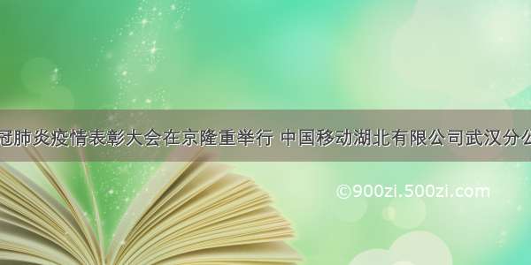 全国抗击新冠肺炎疫情表彰大会在京隆重举行 中国移动湖北有限公司武汉分公司接受表彰