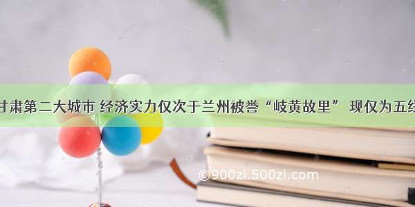 甘肃第二大城市 经济实力仅次于兰州被誉“岐黄故里” 现仅为五线