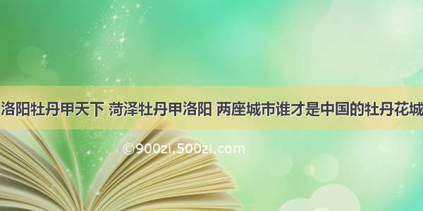 洛阳牡丹甲天下 菏泽牡丹甲洛阳 两座城市谁才是中国的牡丹花城