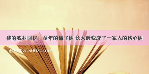 我的农村回忆：童年的柿子树 长大后变成了一家人的伤心树