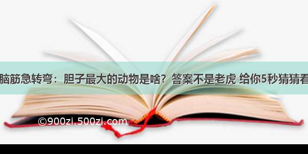 脑筋急转弯：胆子最大的动物是啥？答案不是老虎 给你5秒猜猜看