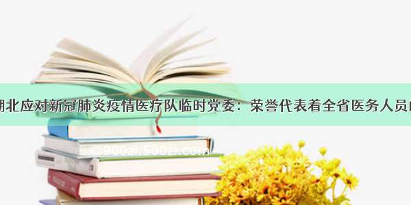 广东支援湖北应对新冠肺炎疫情医疗队临时党委：荣誉代表着全省医务人员的辛苦付出