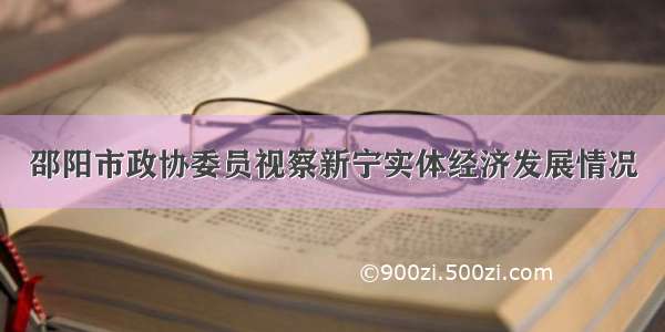 邵阳市政协委员视察新宁实体经济发展情况