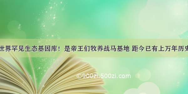 世界罕见生态基因库！是帝王们牧养战马基地 距今已有上万年历史