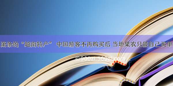 萧条的“越南特产” 中国游客不再购买后 当地果农只能自己买单