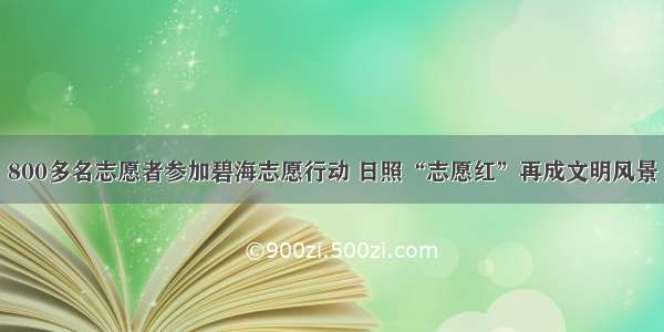 800多名志愿者参加碧海志愿行动 日照“志愿红”再成文明风景