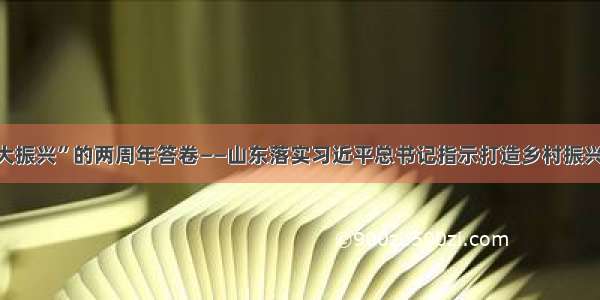 书写“五大振兴”的两周年答卷——山东落实习近平总书记指示打造乡村振兴齐鲁样板