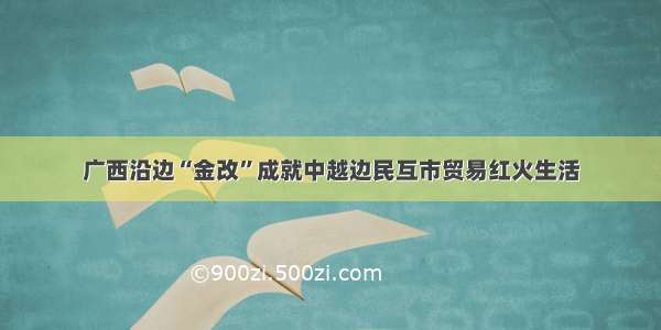 广西沿边“金改”成就中越边民互市贸易红火生活