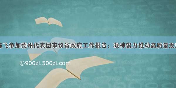 陈飞参加德州代表团审议省政府工作报告：凝神聚力推动高质量发展