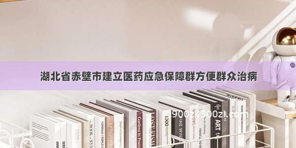 湖北省赤壁市建立医药应急保障群方便群众治病