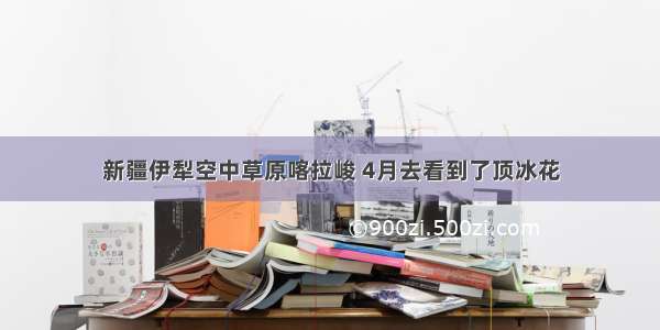 新疆伊犁空中草原喀拉峻 4月去看到了顶冰花