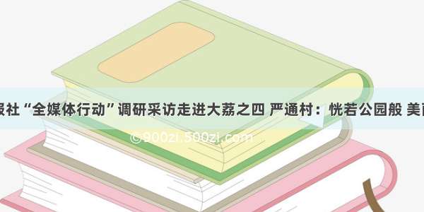 陕西日报社“全媒体行动”调研采访走进大荔之四 严通村：恍若公园般 美丽乡村范