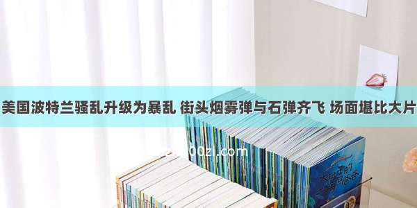 美国波特兰骚乱升级为暴乱 街头烟雾弹与石弹齐飞 场面堪比大片