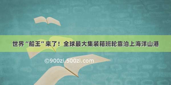 世界“船王”来了！全球最大集装箱班轮靠泊上海洋山港