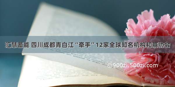 汇慧蓄能 四川成都青白江“牵手”12家全球知名机构和商协会