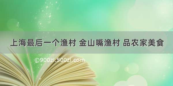 上海最后一个渔村 金山嘴渔村 品农家美食