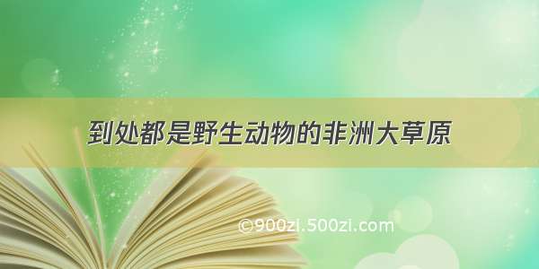 到处都是野生动物的非洲大草原