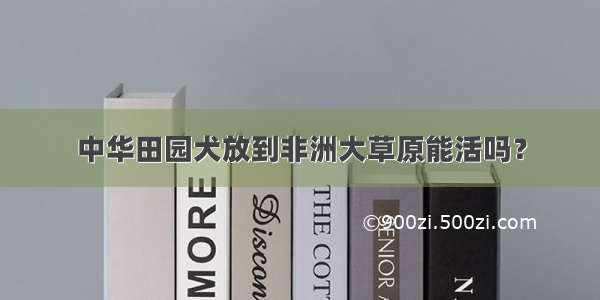 中华田园犬放到非洲大草原能活吗？