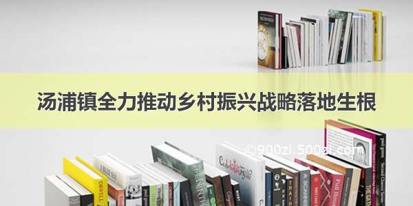 汤浦镇全力推动乡村振兴战略落地生根