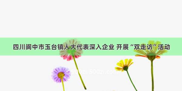 四川阆中市玉台镇人大代表深入企业 开展“双走访”活动