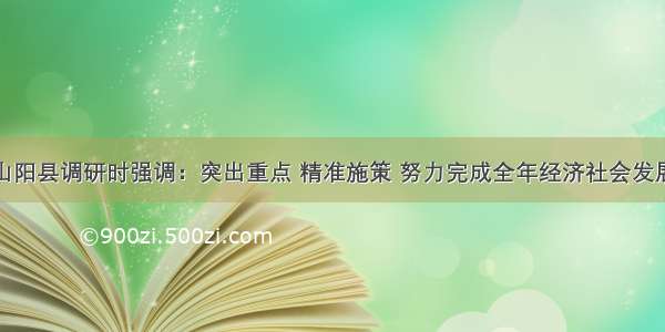 张凯盈赴山阳县调研时强调：突出重点 精准施策 努力完成全年经济社会发展目标任务