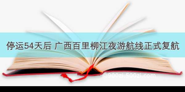 停运54天后 广西百里柳江夜游航线正式复航