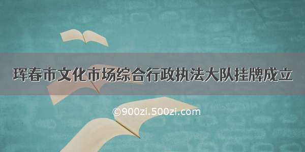 珲春市文化市场综合行政执法大队挂牌成立