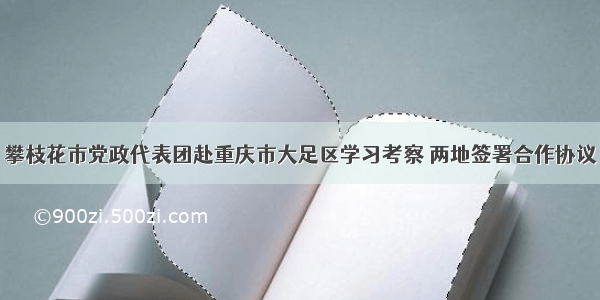 攀枝花市党政代表团赴重庆市大足区学习考察 两地签署合作协议