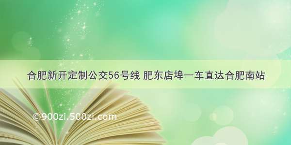 合肥新开定制公交56号线 肥东店埠一车直达合肥南站