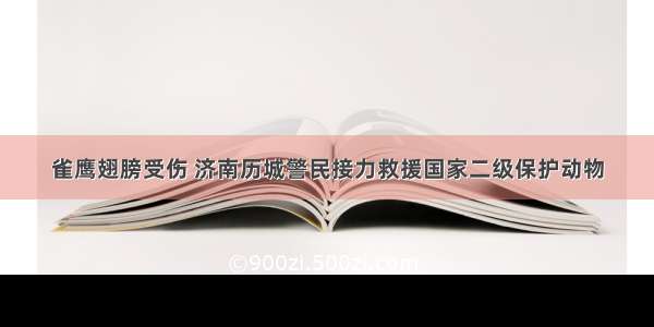 雀鹰翅膀受伤 济南历城警民接力救援国家二级保护动物