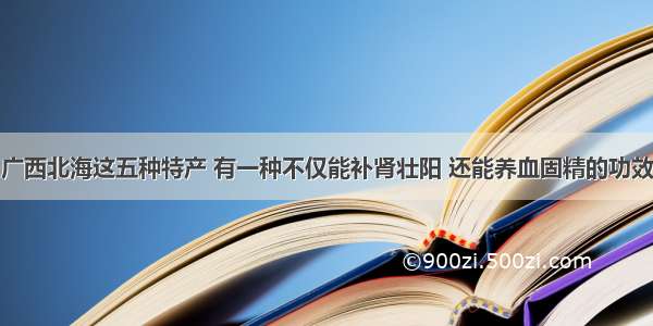 广西北海这五种特产 有一种不仅能补肾壮阳 还能养血固精的功效